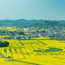 重庆旅游 缩略图 4