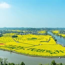 重庆旅游 缩略图 17