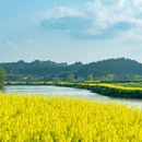 重庆旅游 缩略图 16