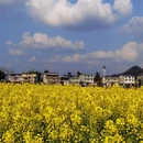 重庆旅游 缩略图 4