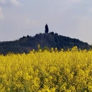 重庆旅游 缩略图 1