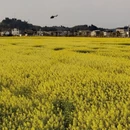 重庆旅游 缩略图 9