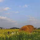 重庆旅游 缩略图 13