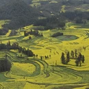 昆明旅游 缩略图 1