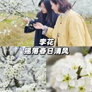 重庆旅游 缩略图 4