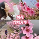 重庆旅游 缩略图 5