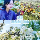 重庆旅游 缩略图 7