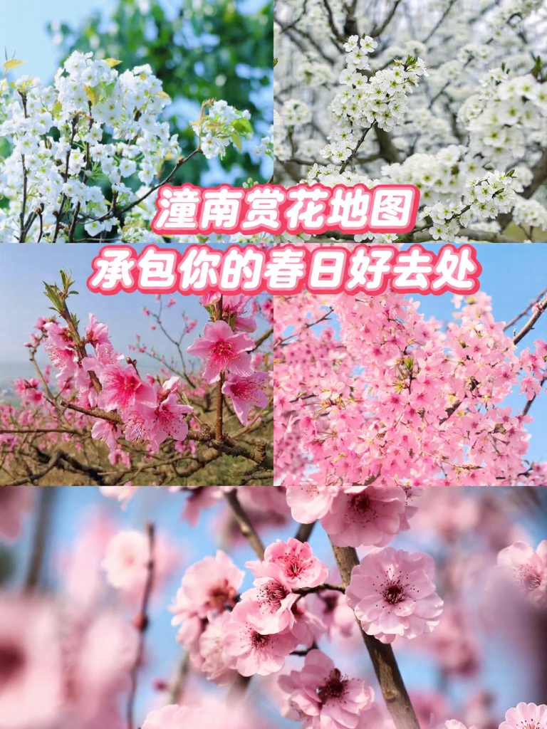 重庆旅游