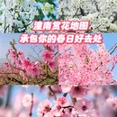 重庆旅游 缩略图 1