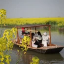 扬州旅游 缩略图 1