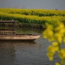 扬州旅游 缩略图 2