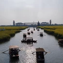 扬州旅游 缩略图 12