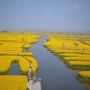 扬州旅游 缩略图 10
