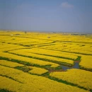 扬州旅游 缩略图 11