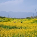 汉中旅游 缩略图 7