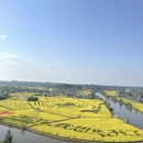 重庆旅游 缩略图 2