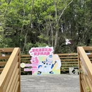 重庆旅游 缩略图 3