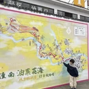 重庆旅游 缩略图 7