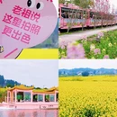 重庆旅游 缩略图 1