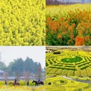 重庆旅游 缩略图 3