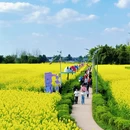 重庆旅游 缩略图 7