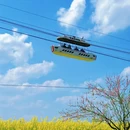 重庆旅游 缩略图 2