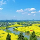 重庆旅游 缩略图 5