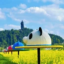 重庆旅游 缩略图 9