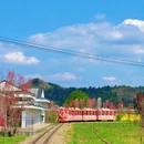 重庆旅游 缩略图 6