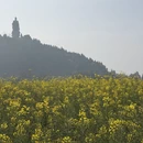 重庆旅游 缩略图 7