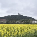 重庆旅游 缩略图 2