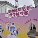 重庆旅游 缩略图 6