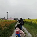 重庆旅游 缩略图 2