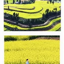 重庆旅游 缩略图 4