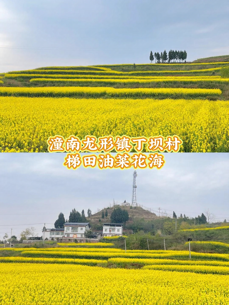 重庆旅游