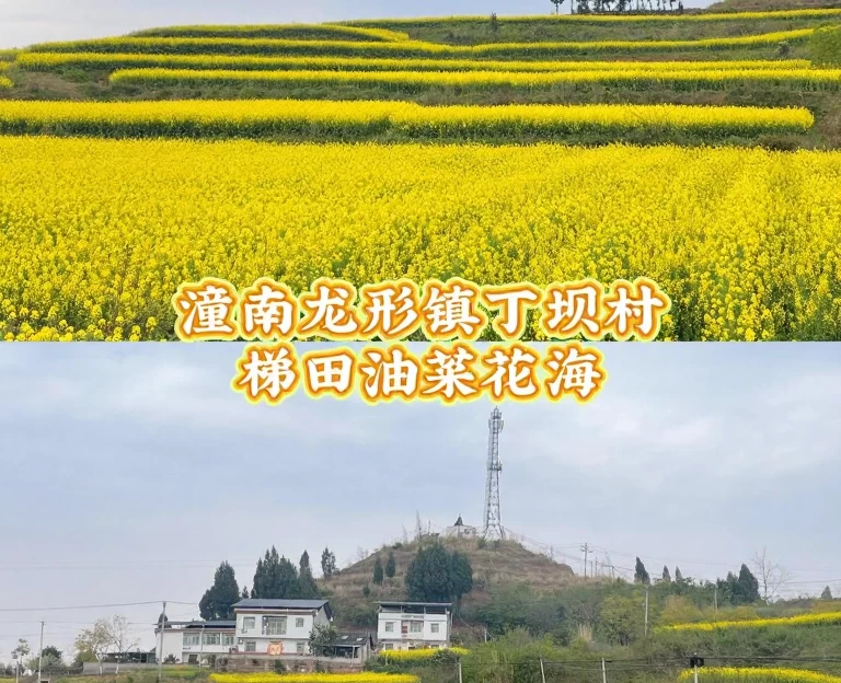 重庆旅游 1
