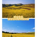 重庆旅游 缩略图 3