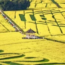 重庆旅游 缩略图 3