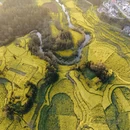 曲靖旅游 缩略图 1