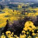曲靖旅游 缩略图 6
