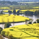 重庆旅游 缩略图 4