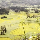 曲靖旅游 缩略图 3