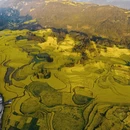 曲靖旅游 缩略图 7