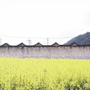 曲靖旅游 缩略图 5