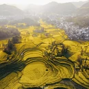 曲靖旅游 缩略图 11