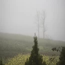 曲靖旅游 缩略图 9