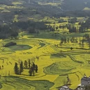 昆明旅游 缩略图 2