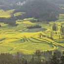 昆明旅游 缩略图 4