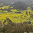 昆明旅游 缩略图 5
