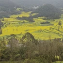 昆明旅游 缩略图 8